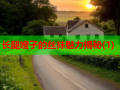 长腿嫂子的丝袜魅力揭秘(1)